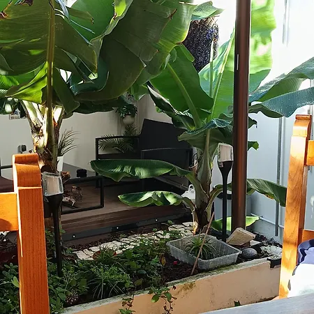 Mini Casa Cerca Del Mar